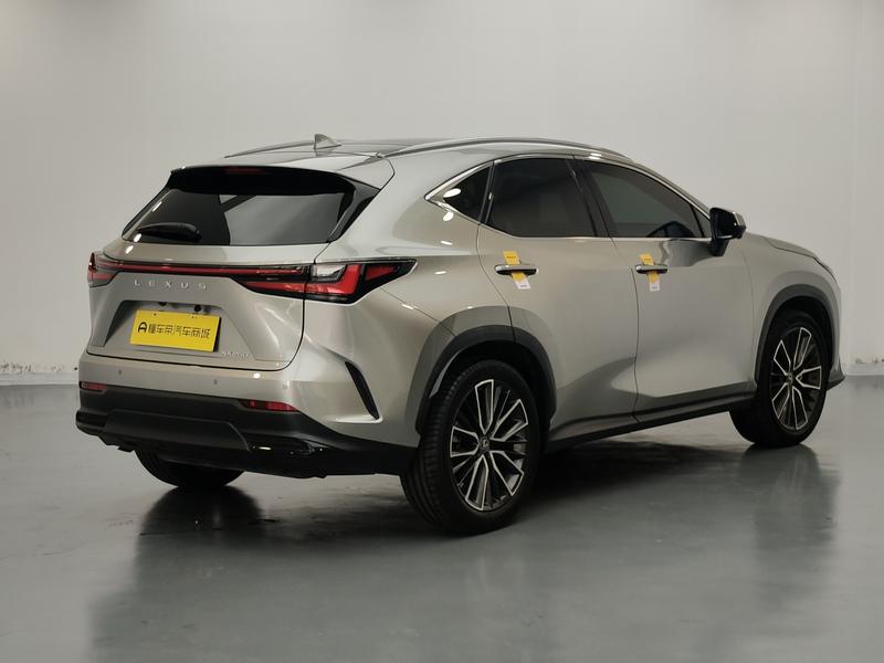 Lexus NX, 2021 — фото 7 из 12