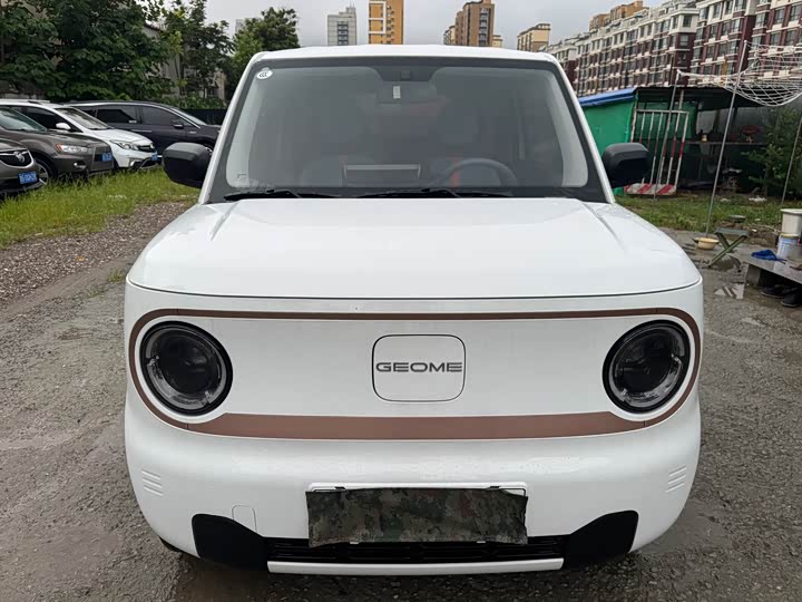 Geely Galaxy Panda Mini, 2024 — фото 2 из 9