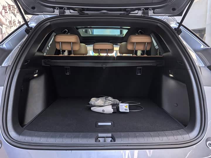 BYD Song L DM-i Hybrid, 2024 — фото 8 из 9