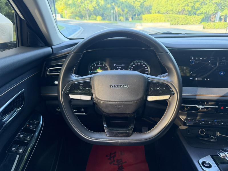 Changan Oshan X7 Plus, 2023 — фото 10 из 12