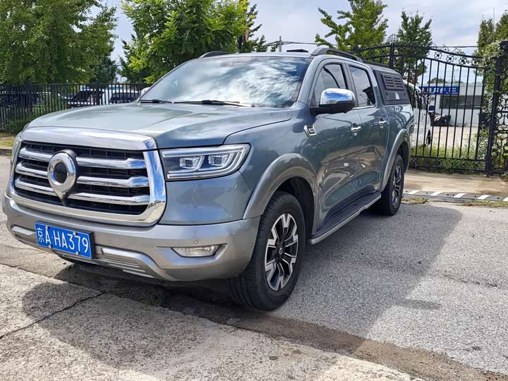 Great Wall Pao, 2022 — купить в Брянске под ключ