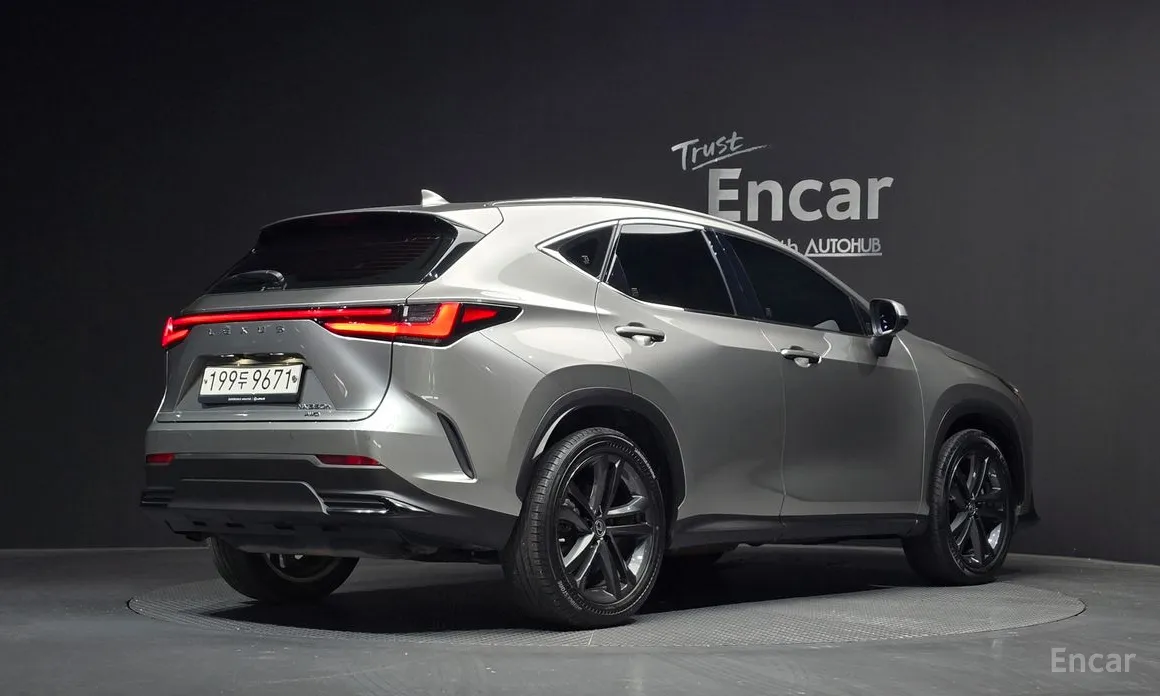 Lexus NX, 2022 — фото 2 из 12