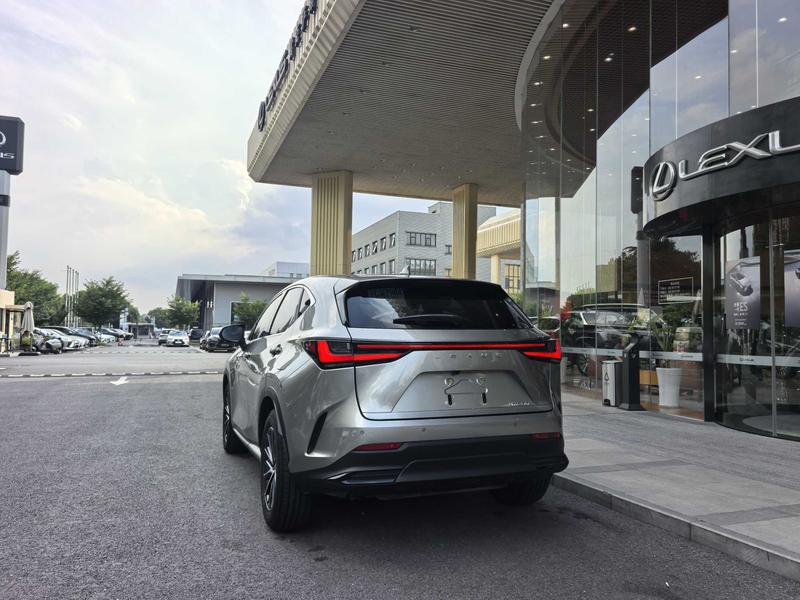 Lexus NX, 2023 — фото 5 из 12