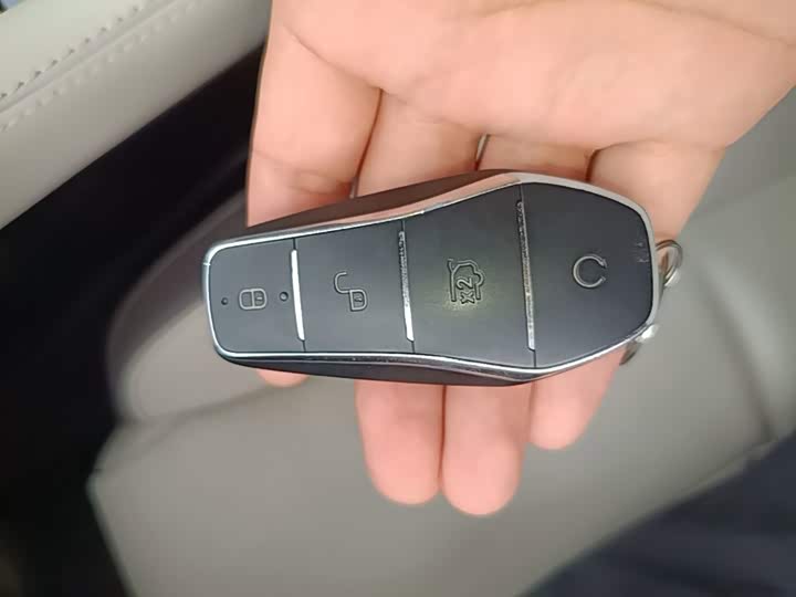 BYD Song Plus Hybrid/EV, 2024 — фото 9 из 9