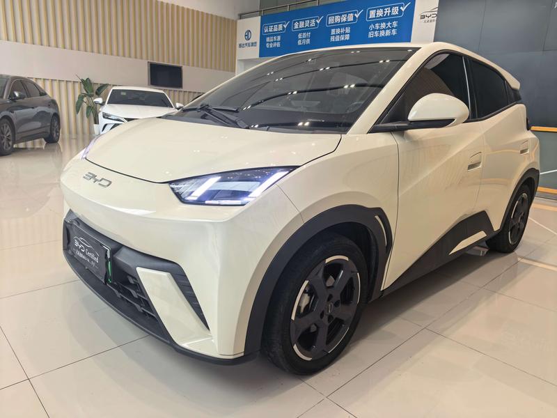 BYD Seagull, 2023 — купить в Самаре под ключ