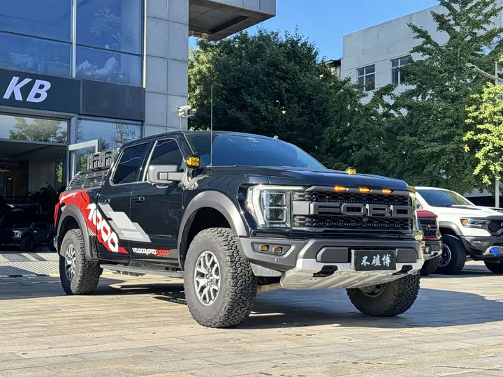 Ford F-150 Raptor, 2023 — фото 3 из 9
