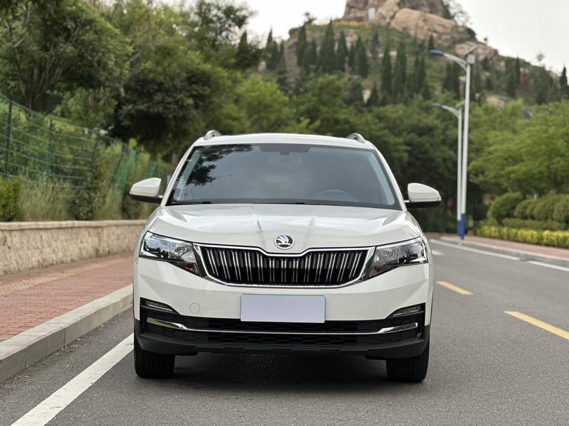 Skoda Kamiq, 2022 — фото 2 из 11