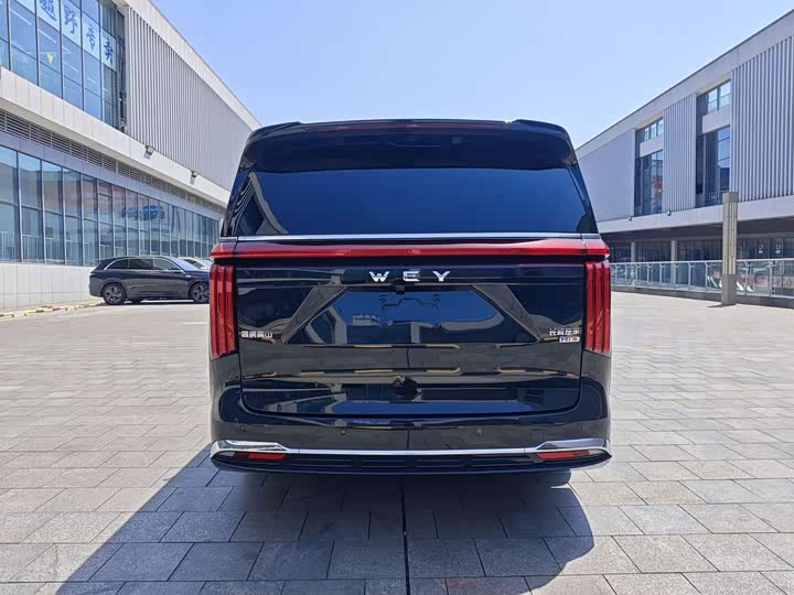 Wey 80 Hybrid, 2024 — фото 7 из 9