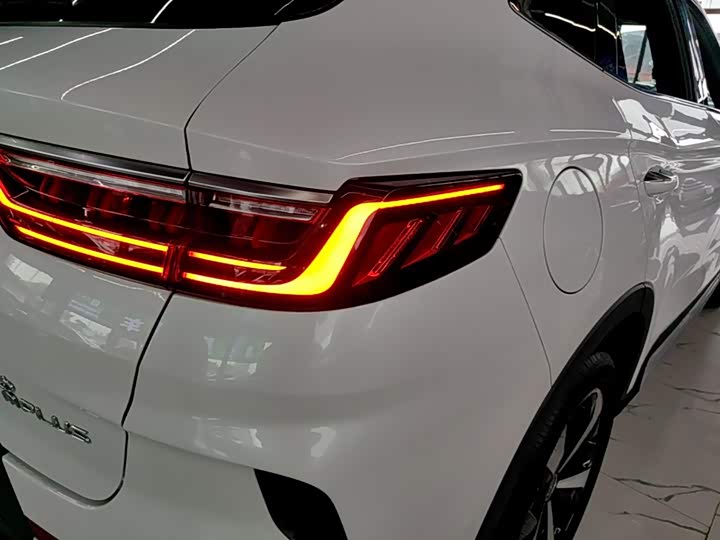 BYD Song Plus Hybrid/EV, 2021 — фото 8 из 9