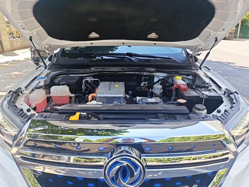 Dongfeng Rich 6 EV, 2023 — фото 9 из 12