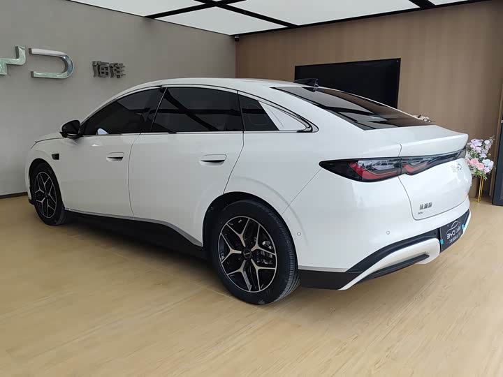 BYD Seal 06 Hybrid/EV, 2025 — фото 6 из 9