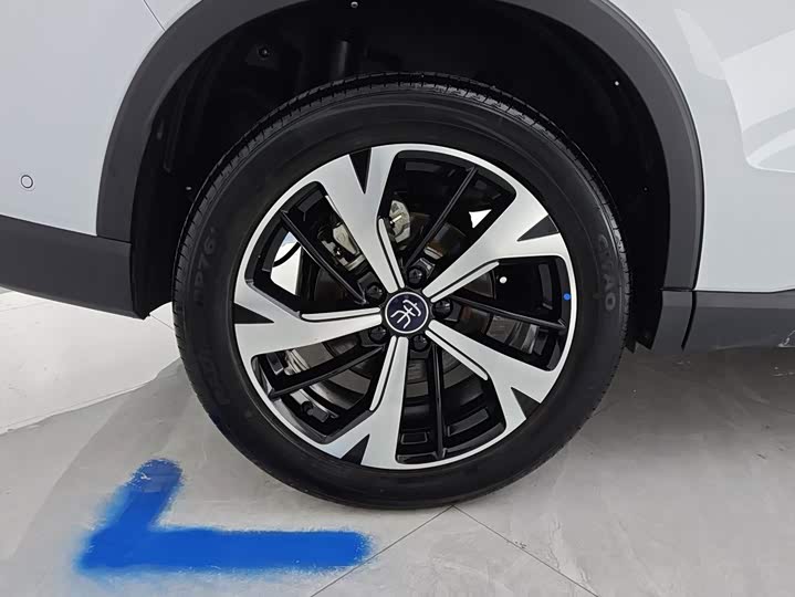 BYD Song Pro Hybrid, 2026 — фото 6 из 9