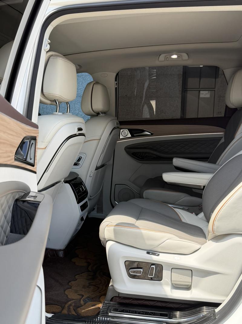 Dongfeng Forthing Yacht, 2023 — фото 9 из 11