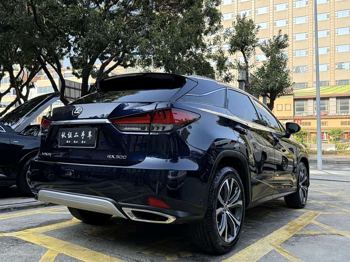 Lexus RX, 2021 — фото 5 из 9