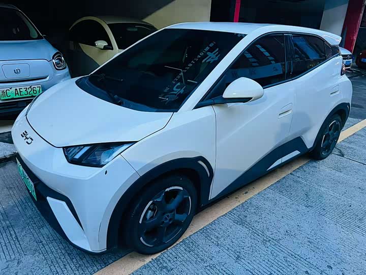 BYD Seagull, 2024 — купить в Санкт-Петербурге под ключ