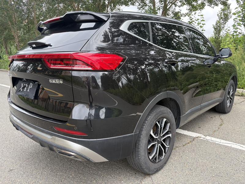 Haval H6, 2021 — фото 6 из 12