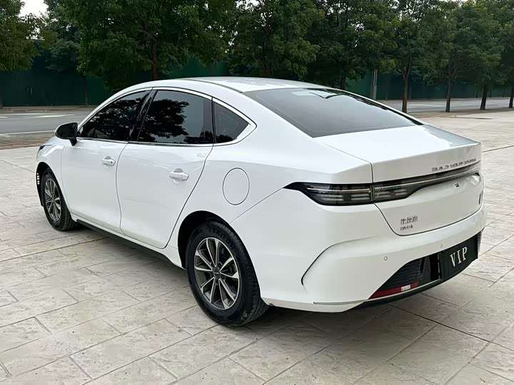 BYD Destroyer 05, 2024 — фото 8 из 9