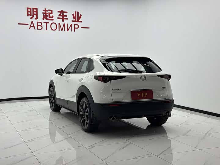 Mazda CX-30, 2023 — фото 8 из 9