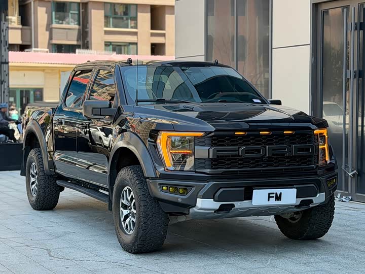 Ford F-150 Raptor, 2023 — фото 4 из 9