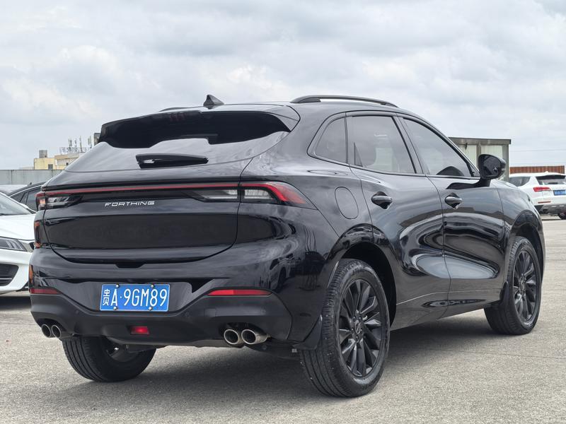 Dongfeng Forthing T5 EVO, 2021 — фото 6 из 12
