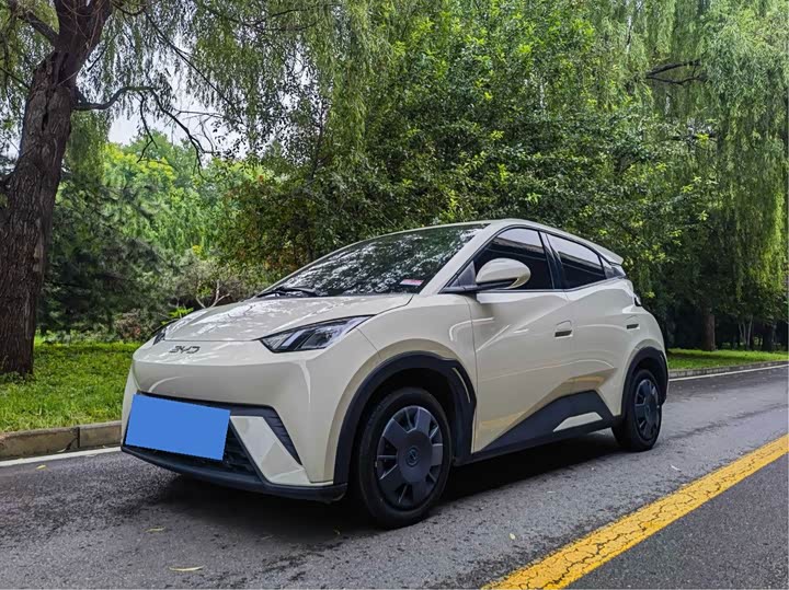 BYD Seagull, 2024 — купить в Рязани под ключ