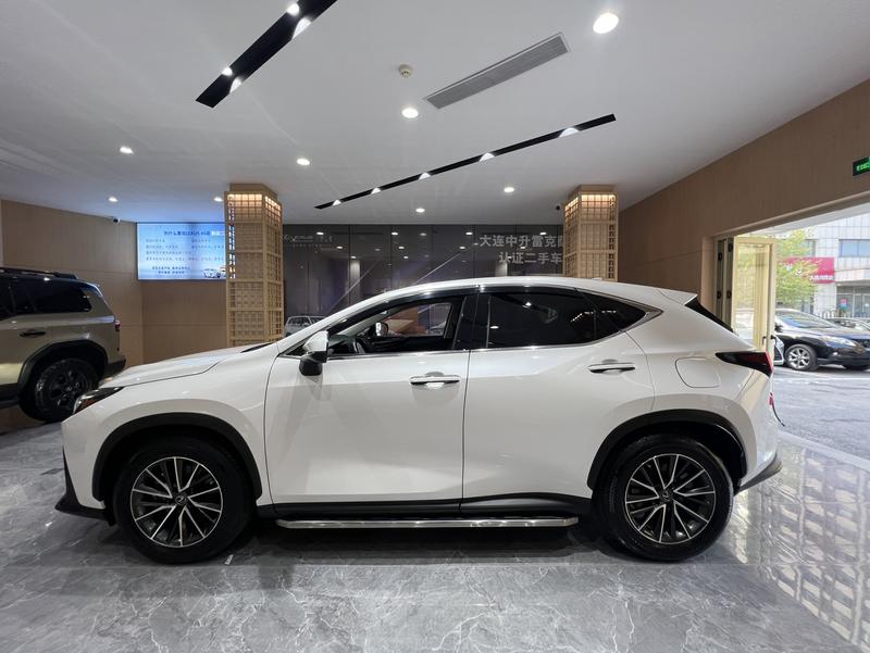 Lexus NX Hybrid, 2021 — фото 3 из 12