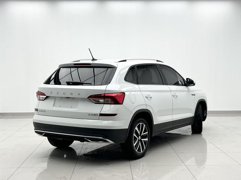 Skoda Kamiq, 2024 — фото 6 из 12