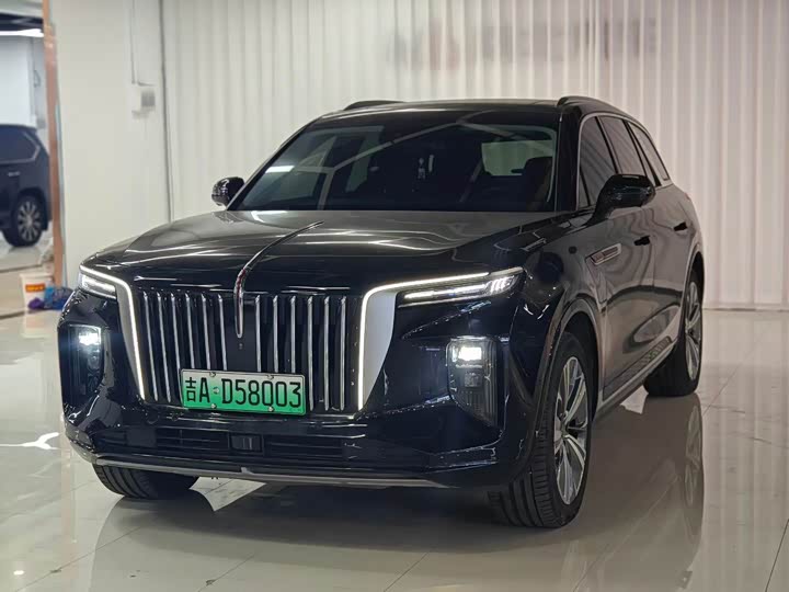 Hongqi E-HS9, 2023 — купить в Твери под ключ