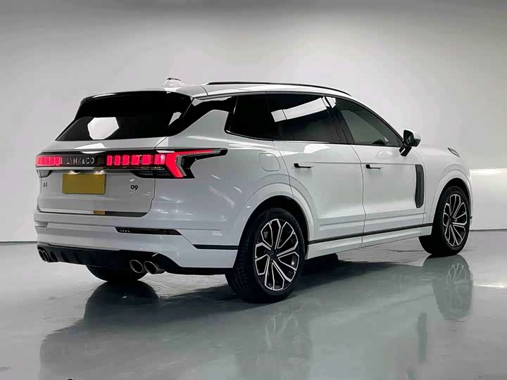 Lynk & Co 09 EM-P Hybrid, 2022 — фото 8 из 9