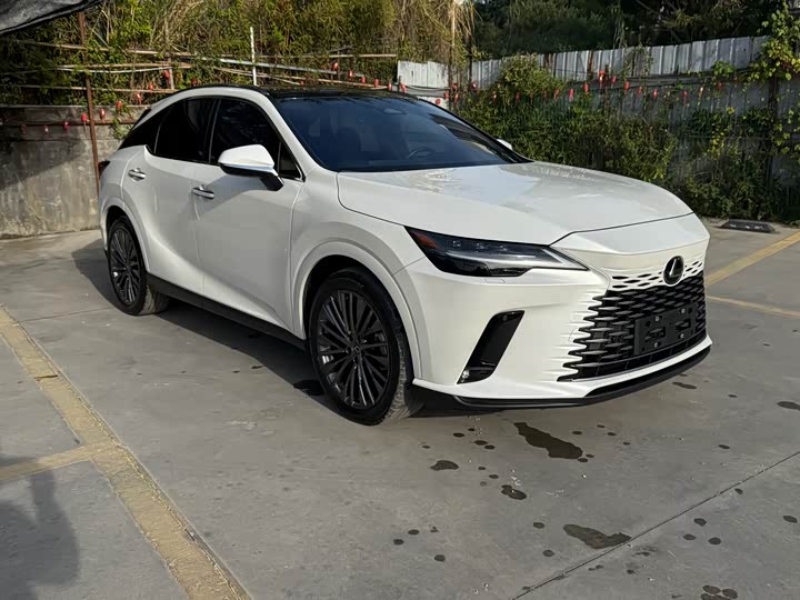 Lexus RX, 2023 — фото 2 из 10