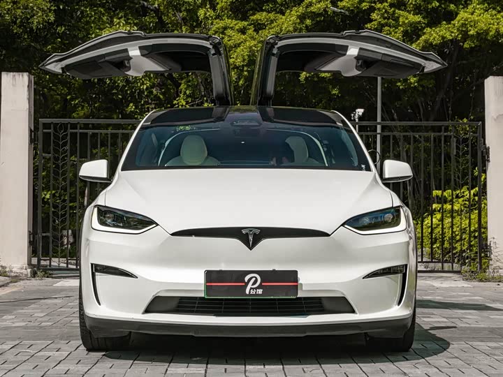 Tesla Model X, 2022 — фото 2 из 9