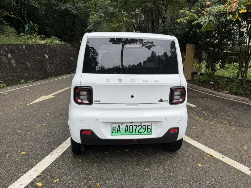 Geely Galaxy Panda Mini, 2024 — фото 5 из 11