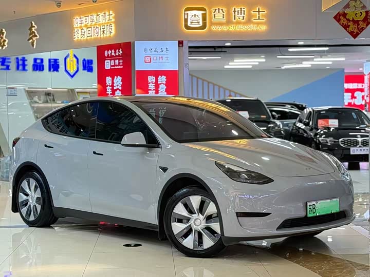 Tesla Model Y, 2021 — фото 3 из 9