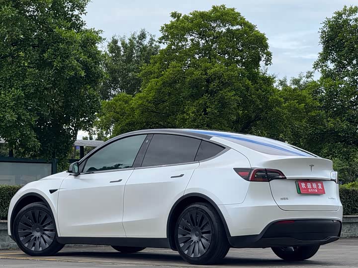 Tesla Model Y, 2023 — фото 6 из 9
