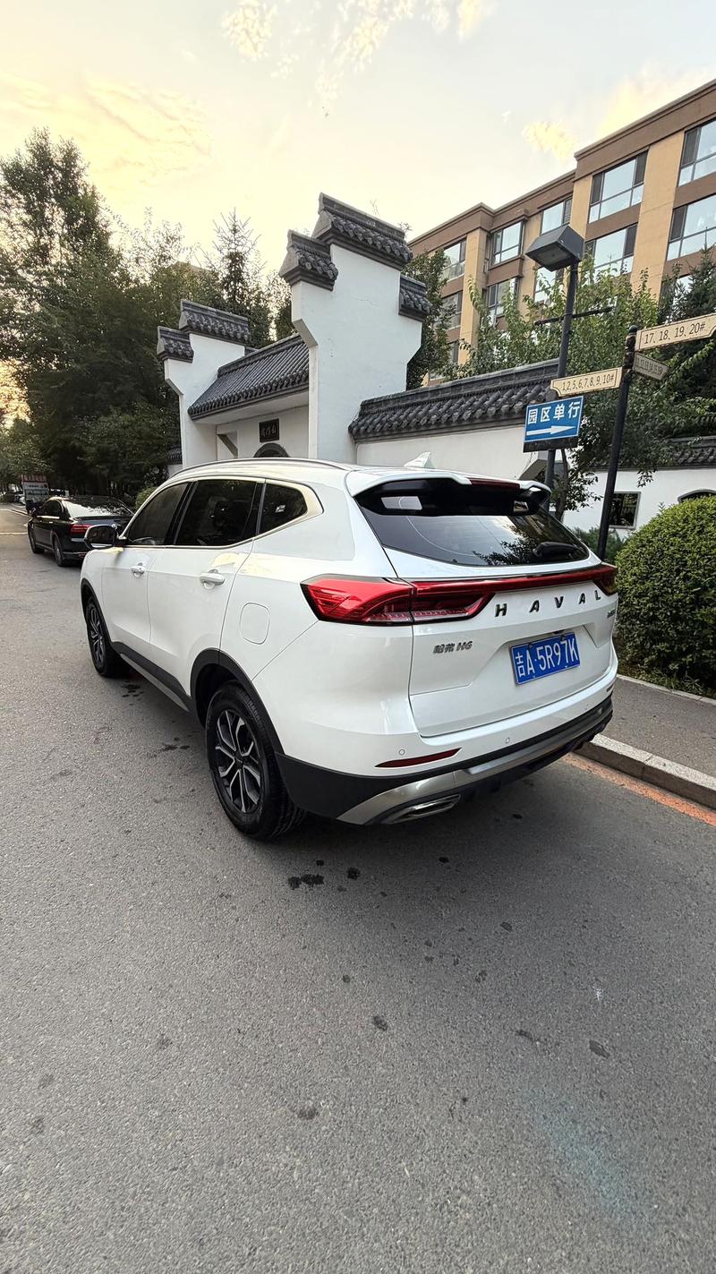 Haval H6, 2023 — фото 4 из 8
