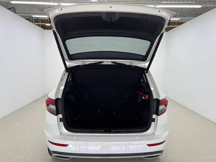 Skoda Karoq, 2022 — фото 8 из 9