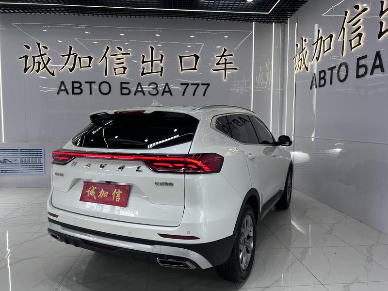 Haval H6, 2022 — фото 6 из 12