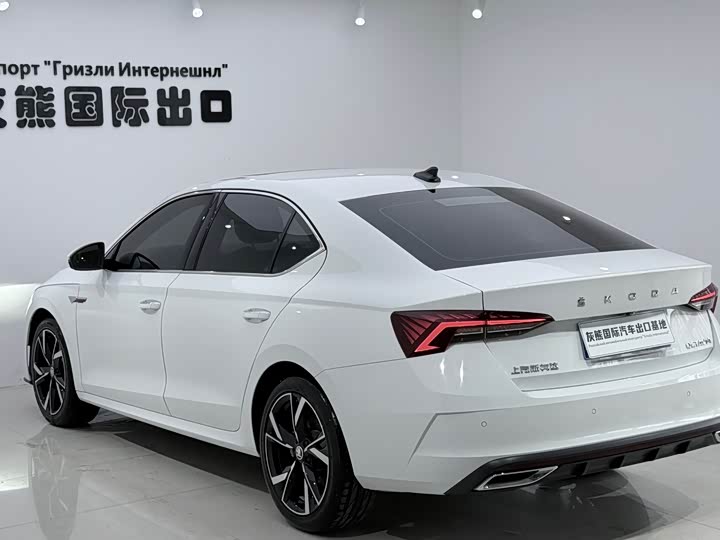 Skoda Octavia Pro, 2024 — фото 6 из 9