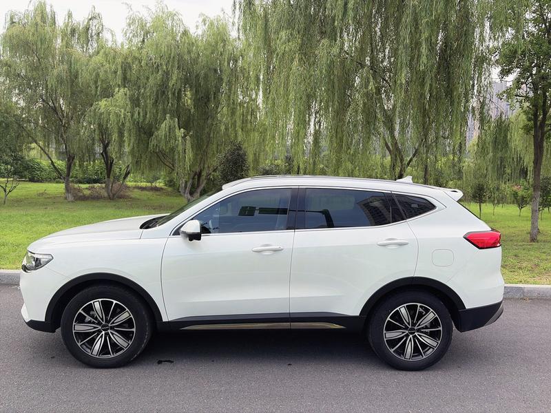 Haval H6, 2023 — фото 4 из 12
