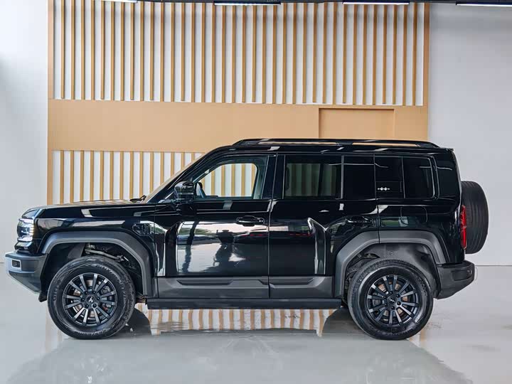 BYD FangChengBao Leopard 5, 2024 — фото 8 из 9