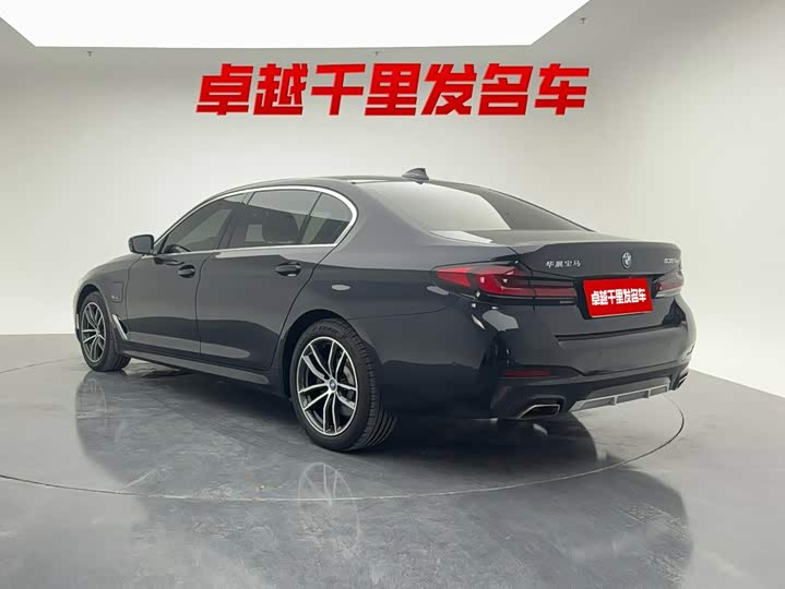 BMW 5 Series Hybrid, 2021 — фото 6 из 9