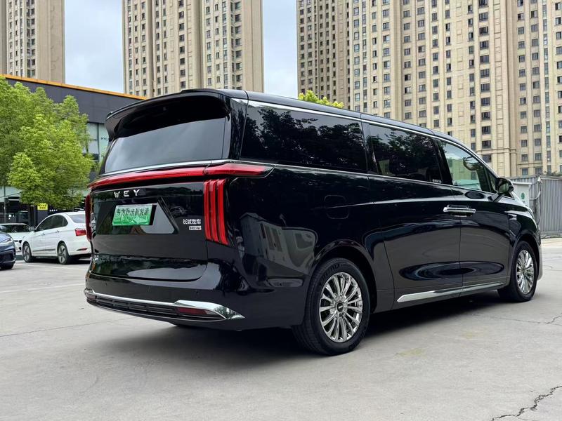 Wey 80 Hybrid, 2025 — фото 6 из 12