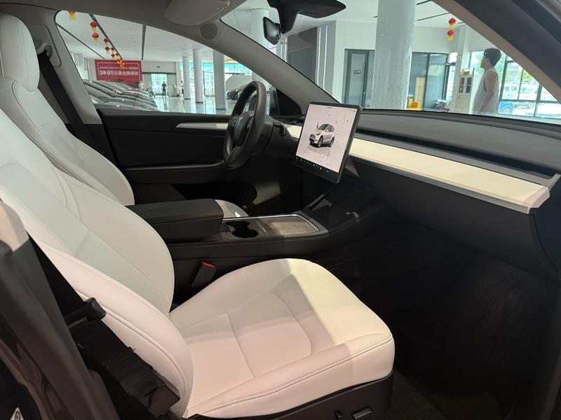Tesla Model Y, 2022 — фото 8 из 10