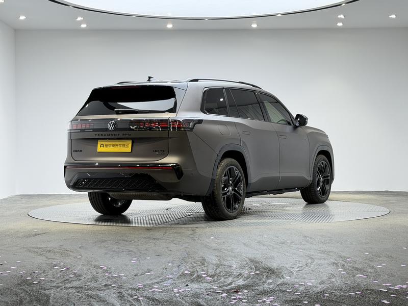 Volkswagen Teramont Pro, 2025 — фото 7 из 12