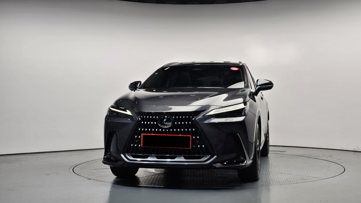 Lexus NX, 2023 — фото 3 из 12
