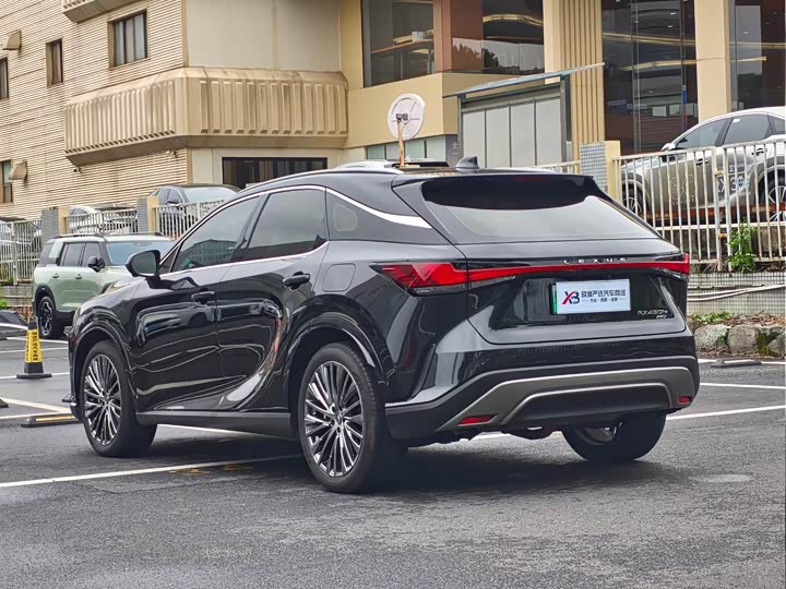 Lexus RX Hybrid, 2023 — фото 6 из 9