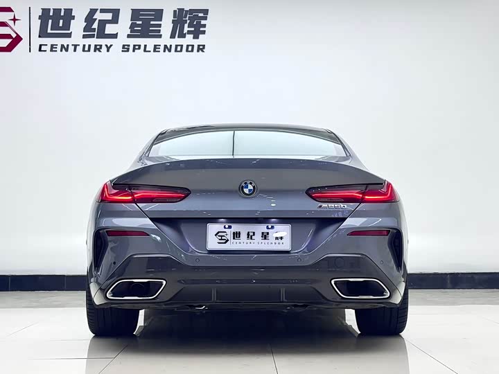 BMW 8 Series, 2023 — фото 6 из 9