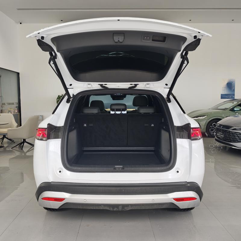 BYD Song L DM-i Hybrid, 2025 — фото 12 из 12
