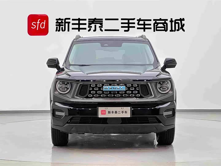 Haval H-Dog Hybrid, 2023 — фото 2 из 9