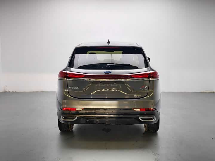 Changan Oshan X7 Plus, 2023 — фото 5 из 9